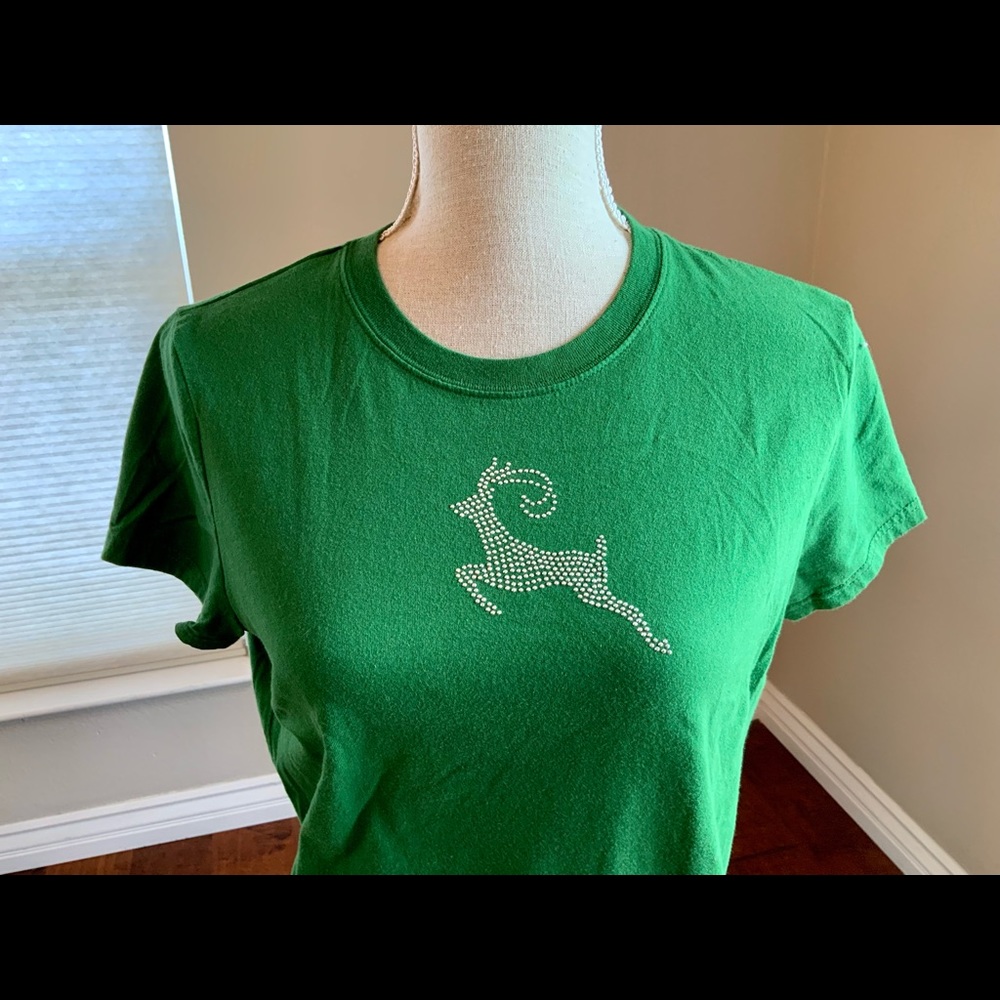 Silver reindeer, green T-shirt, Target
